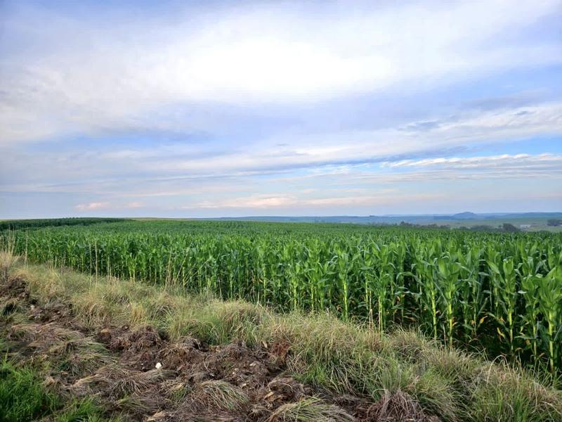 0 Bedroom Property for Sale in Bethlehem Rural Free State